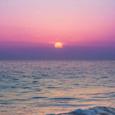 1788网投手机app下载