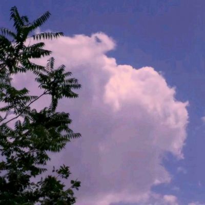 im电竞官网手机app下载截图